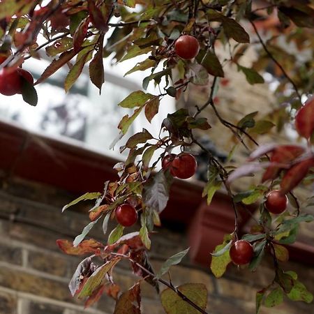 Luxury London Garden Home Sleep 7, 2 Mins To Metro Екстер'єр фото