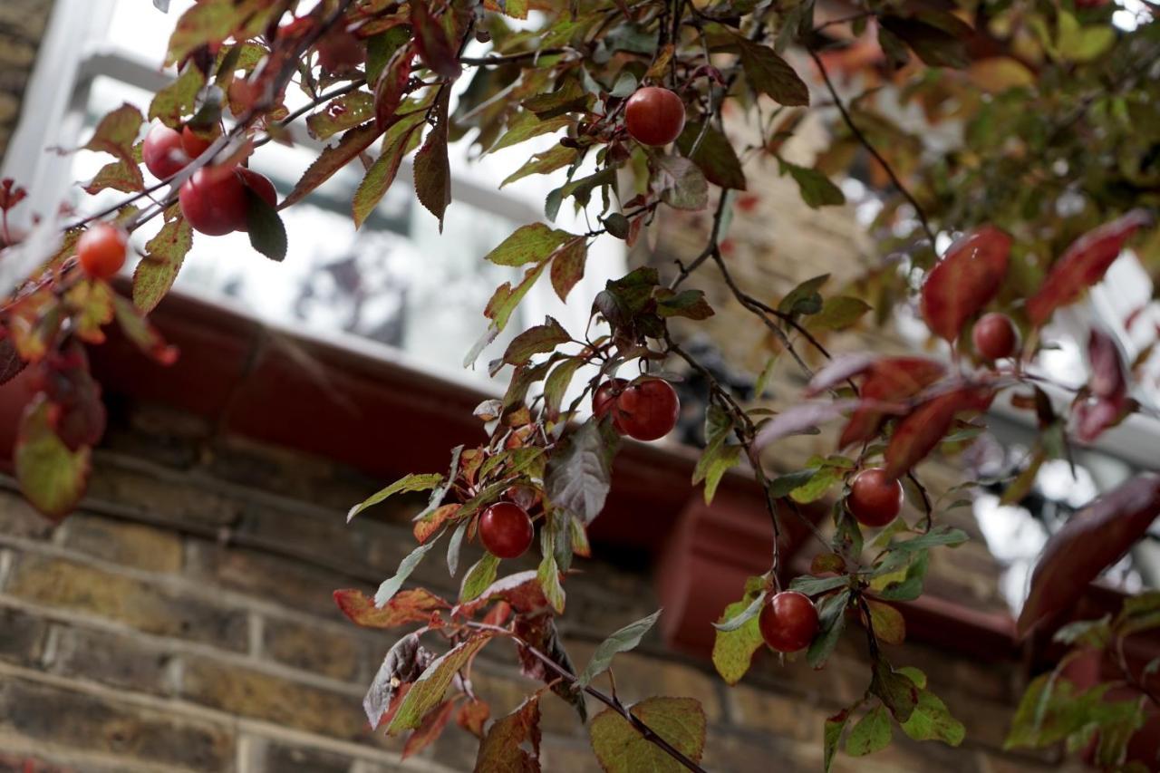 Luxury London Garden Home Sleep 7, 2 Mins To Metro Екстер'єр фото